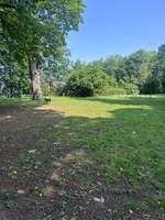 Hundeauslaufgebiet-Kronepark-Bild