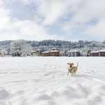 Ersteller:in Sabrina Profilbild