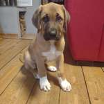 Ersteller:in Annika Profilbild