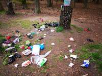 Hundeauslaufgebiet-NEU! Schmidts Kiefern Heidhofer Hunderunde Agility-Training Parcour-Bild