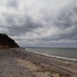 Hundeurlaub in Nienhagen-Beitrag-Bild