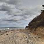 Hundeurlaub in Nienhagen-Beitrag-Bild