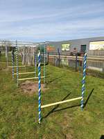 Hundeauslaufgebiet-Hundespielwiese-Bild