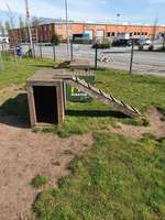 Hundeauslaufgebiet-Hundespielwiese-Bild