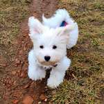 Ersteller:in Katja Profilbild