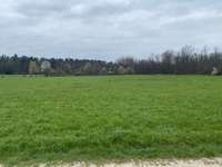 Hundeauslaufgebiet-Russenwiesse-Bild