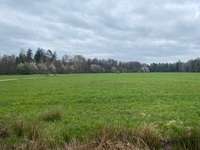 Hundeauslaufgebiet-Russenwiesse-Bild