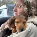 Ersteller:in Katy Profilbild