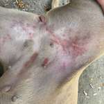 Was kann das sein-Beitrag-Bild