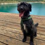 Ersteller:in Zora Profilbild