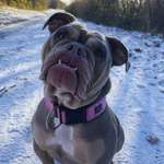 Ersteller:in Lena Profilbild