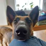 Ersteller:in Feli Profilbild