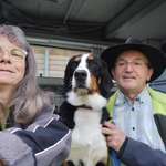 Ersteller:in Bernhard Profilbild