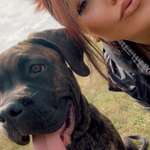 Ersteller:in Michi Profilbild