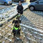 Ersteller:in Sassi Profilbild