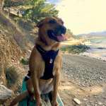 Ersteller:in Leo Profilbild