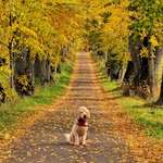 Ersteller:in Moni Profilbild