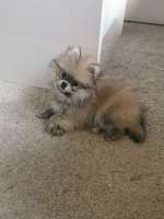 Beim Geschirr abnehmen Probleme.-Beitrag-Bild