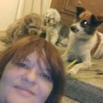 Ersteller:in Chaos-Queen Profilbild