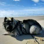 Ersteller:in Sophie Profilbild