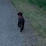 Ersteller:in C. Profilbild