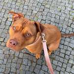 Tagesausflüge in/um Berlin-Beitrag-Bild