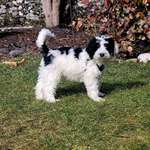 Ersteller:in Romana Profilbild