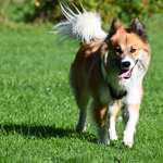 Ersteller:in Cora Profilbild