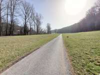 Hundeauslaufgebiet-Radweg zwischen Eisingen und Stein-Bild