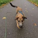 Ersteller:in S Profilbild