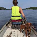 Ersteller:in Elena Profilbild