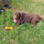 Ersteller:in Uta Profilbild