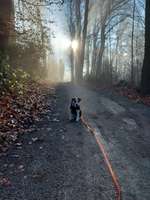 Hundeauslaufgebiet-Südpark Höntrop-Bild