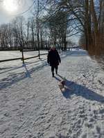 Hundeauslaufgebiet-Südpark Höntrop-Bild