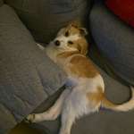 Ersteller:in Aristidis Profilbild