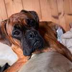 Ersteller:in Eva Profilbild