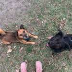 Ersteller:in Inken Profilbild