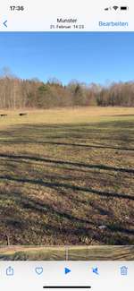 Hundeauslaufgebiet-Am Hollmoor-Bild