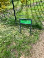 Hundeauslaufgebiet-Parkplatz Grün-Bild