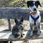 Ersteller:in Tanja Profilbild