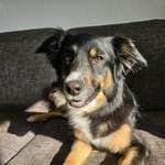 Ersteller:in Jessi Profilbild