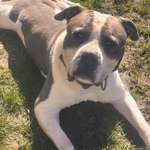 Ersteller:in Lori Profilbild