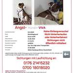 Suchmeldung-Viva-Bild