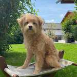 Ersteller:in Lara Profilbild