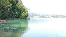 Hundeauslaufgebiet-Weissensee Wald seits-Bild