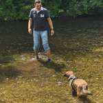 Hundeauslaufgebiet-Wiese- und Liegeplatz an der Würm-Bild