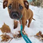 Ersteller:in Danilo Profilbild