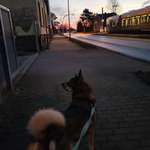 Ersteller:in Michi Profilbild