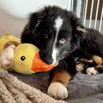 Ersteller:in Susanne Profilbild