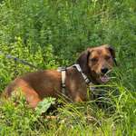 Ersteller:in Jürgen Profilbild